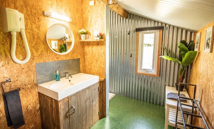 A fully flushing toilet and hot shower with a hairdryer.